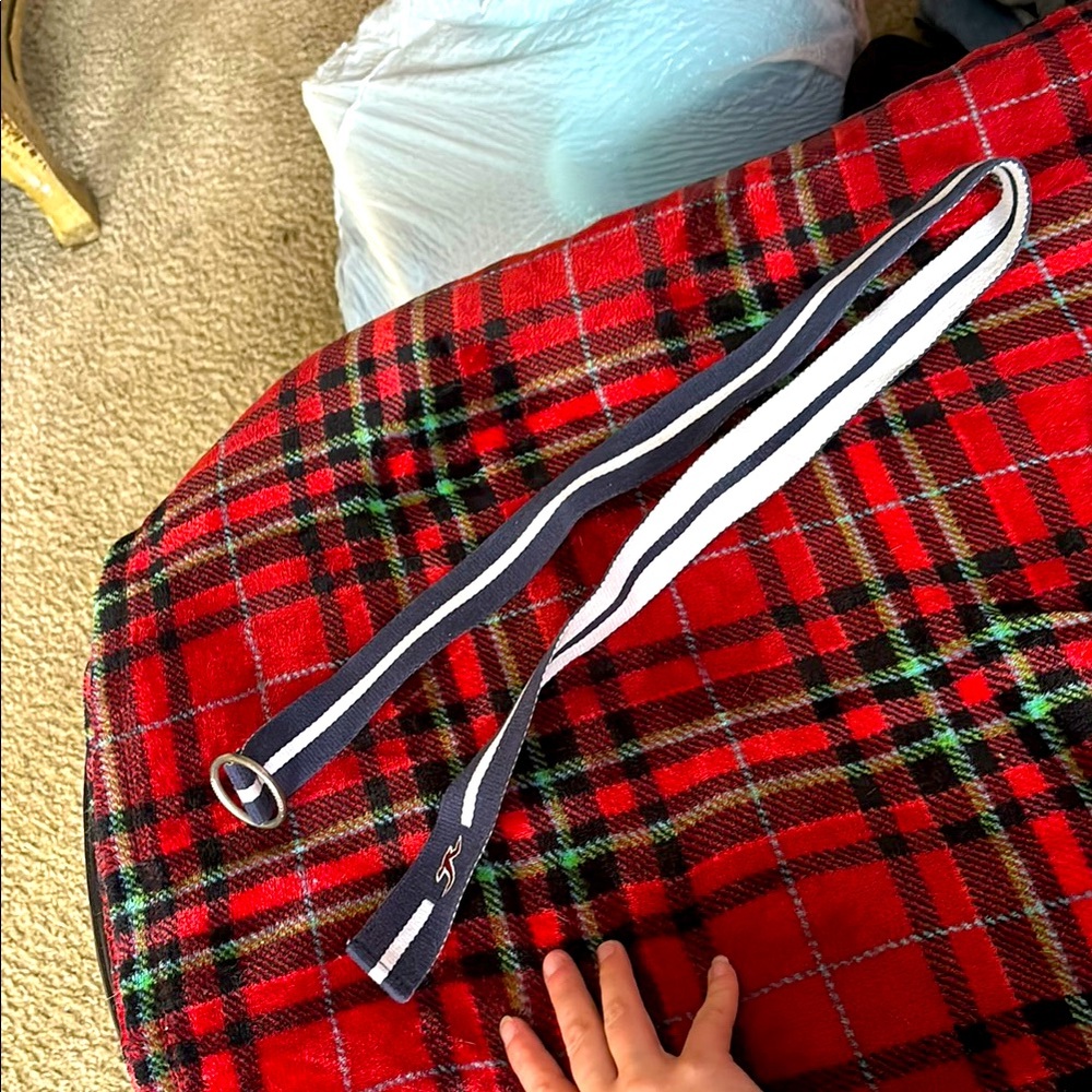 Belt